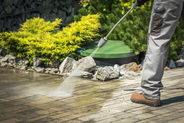Best Sidewalk and Walkway Cleaning  in Edgewood, NM