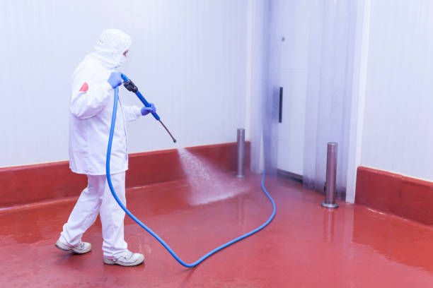 Best Post-Construction Pressure Washing  in Edgewood, NM